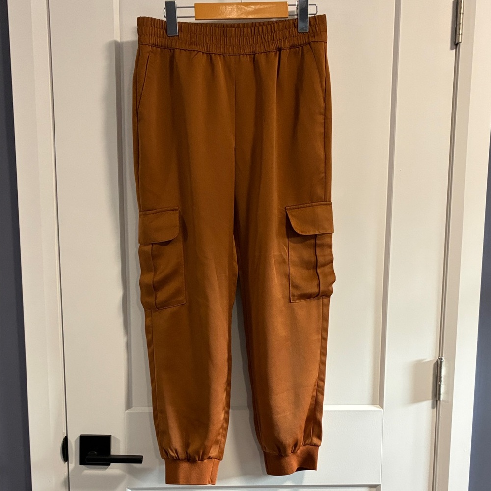 Stunning Banana Republic burnt orange silky soft joggers - size Small